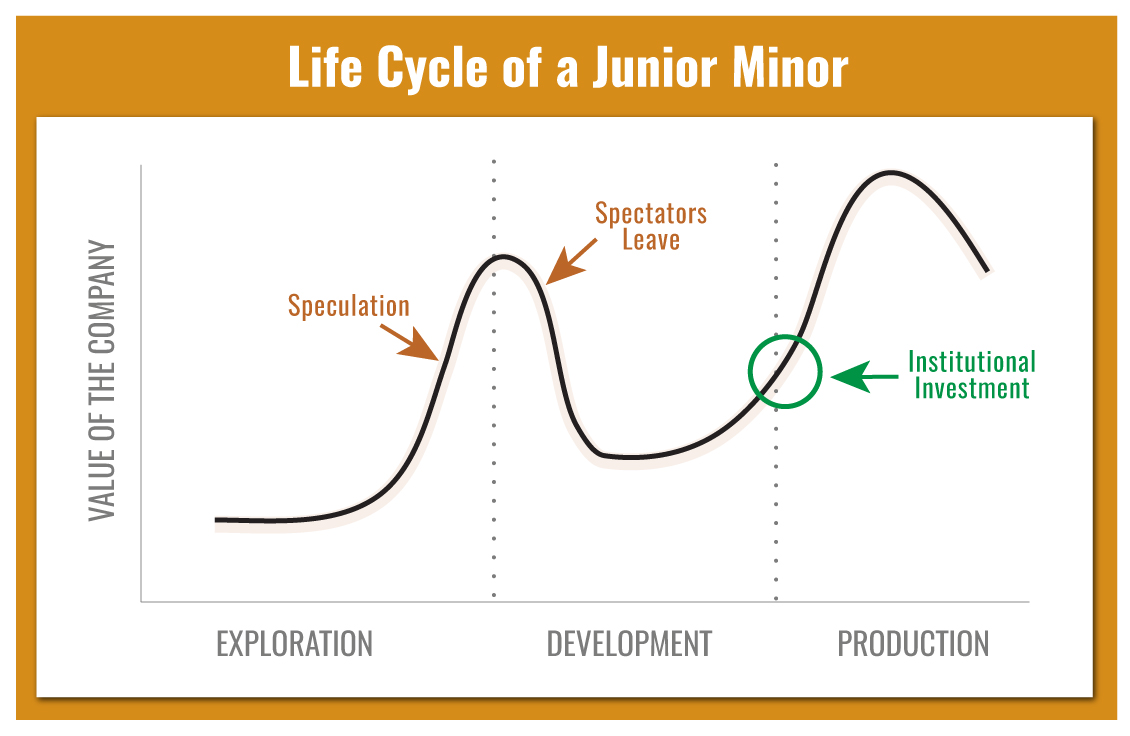 Life Cycle of a Junior Minor 1