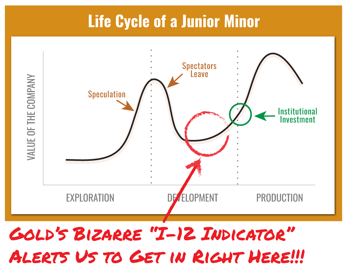 Life Cycle of a Junior Minor 2
