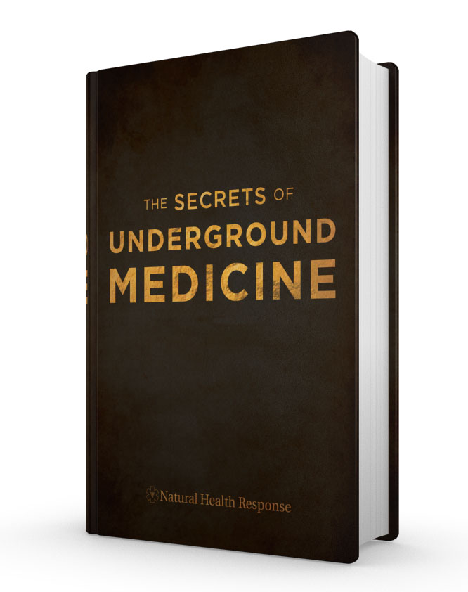 secrets of the underground medicine pdf download