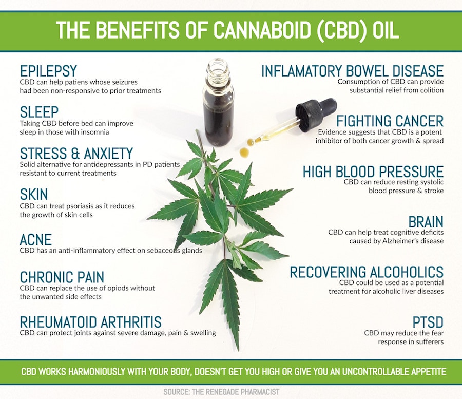 Benefits of CBD Oil Infographic