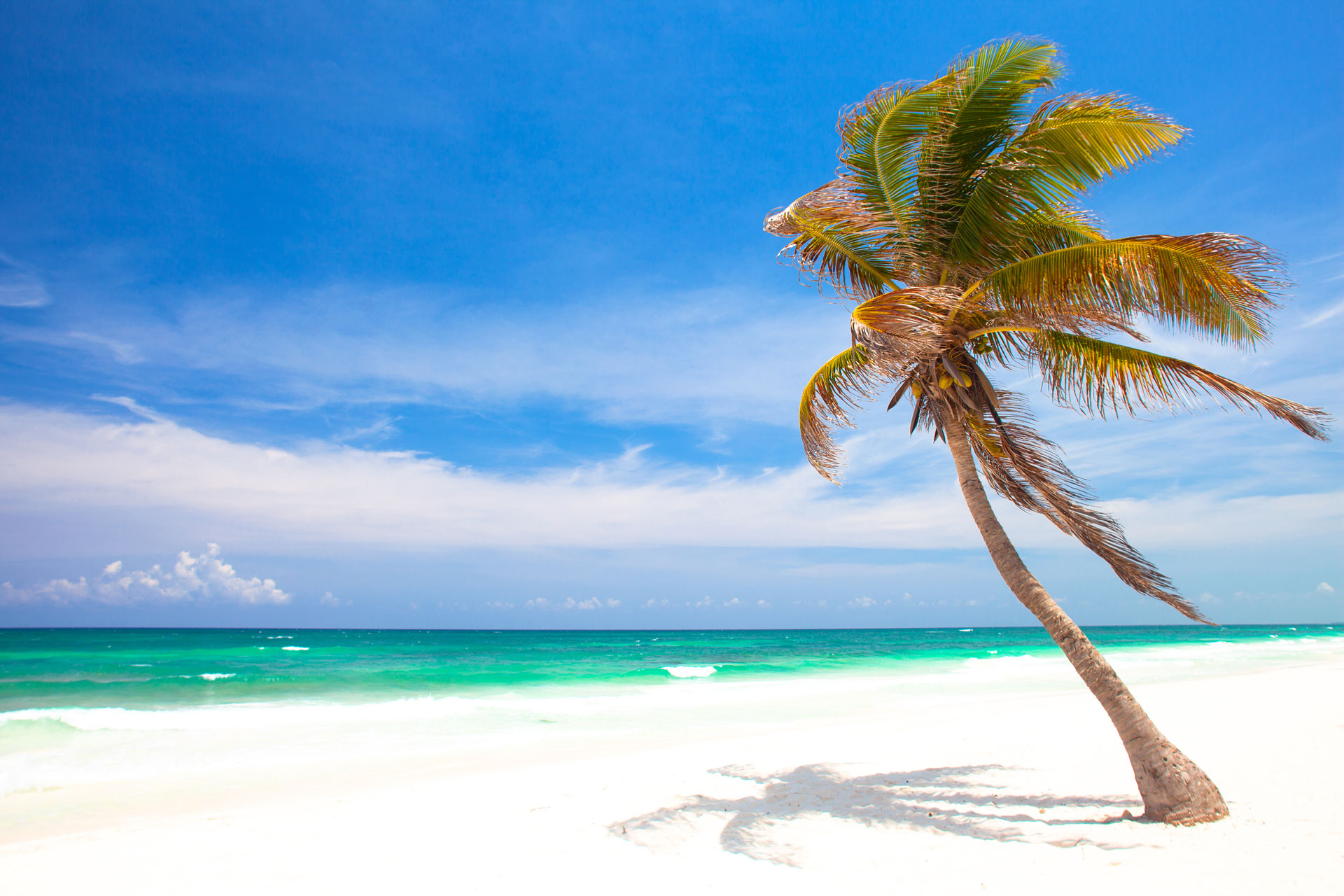 Tropical Beach