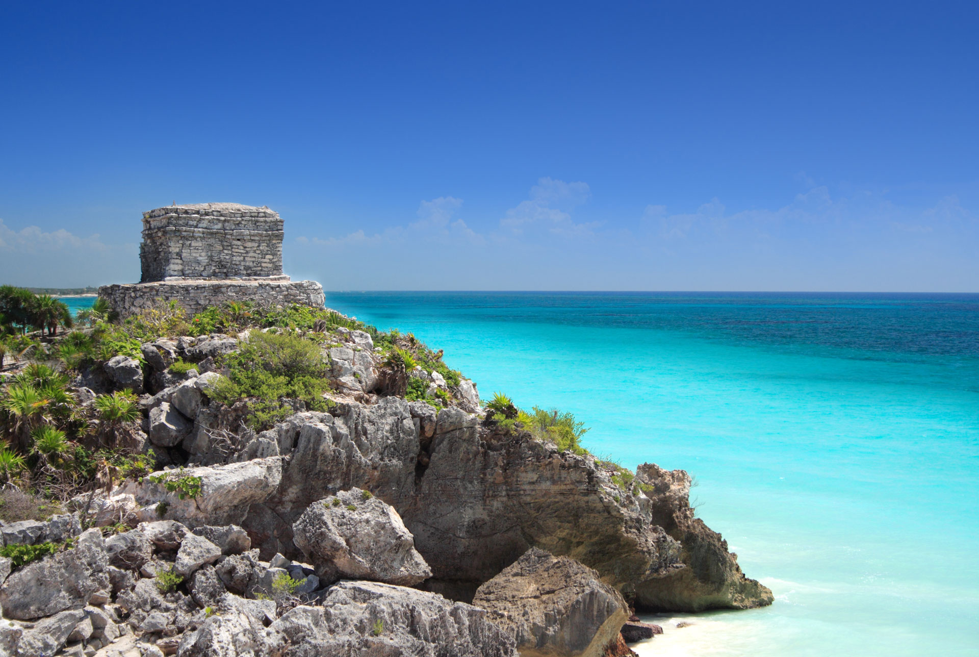 Tropical Beach