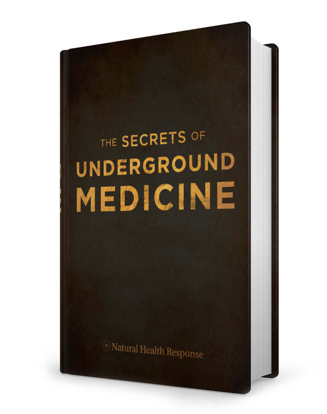 dr richard gerhauser the secrets of underground medicine